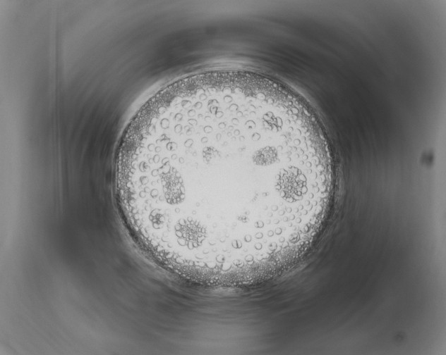 X0000114031467200911131238