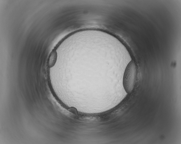 X0000114031468200911131238