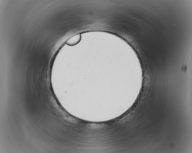 X0000114031469200911131238