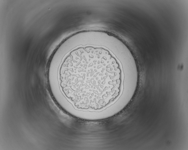 X0000114031470200911131238