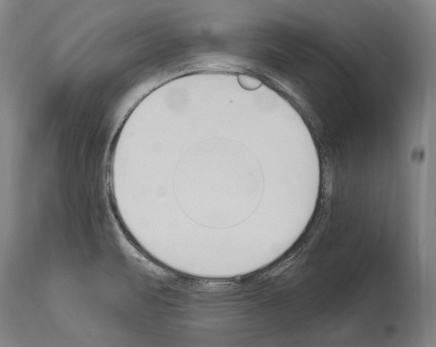 X0000114031471200911131238