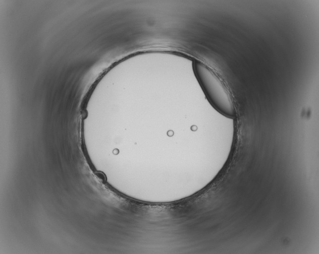 X0000114031472200911131238