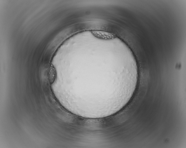 X0000114031473200911131238