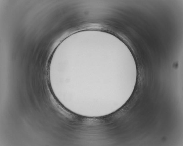 X0000114031475200911131238