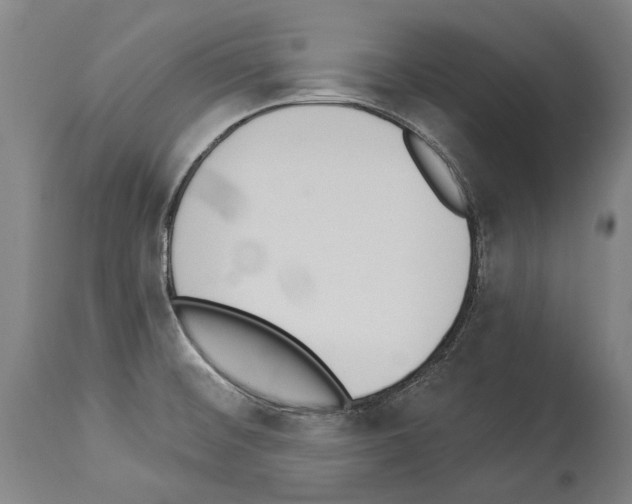 X0000114031476200911131238