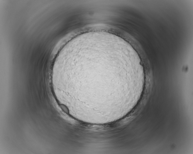 X0000114031477200911131238