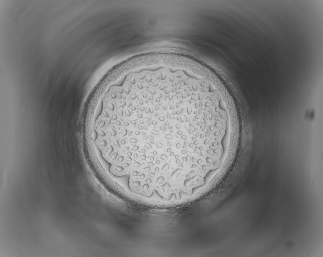 X0000114031478200911131238