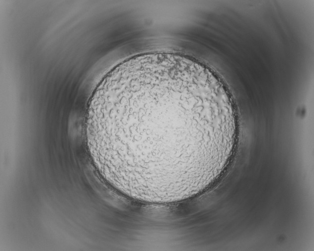 X0000114031481200911131238