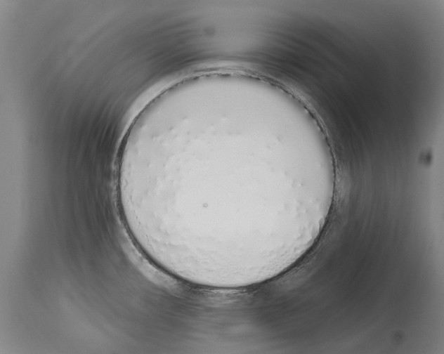 X0000114031482200911131238