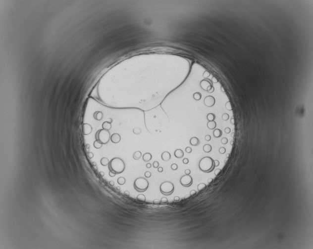 X0000114031483200911131238