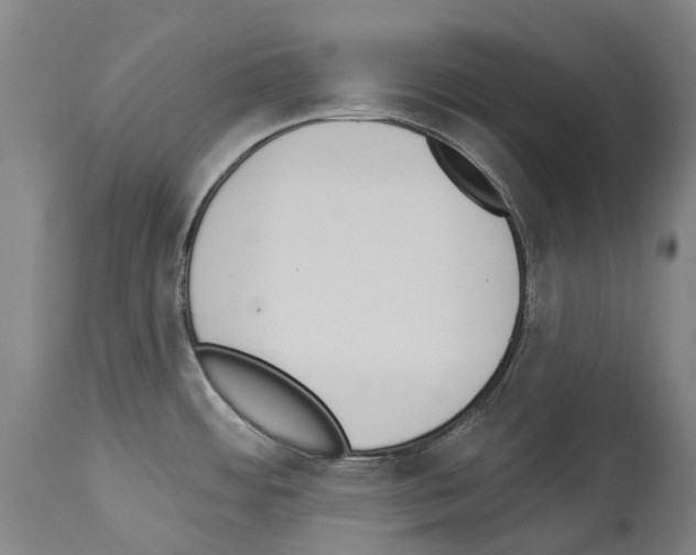 X0000114031484200911131238