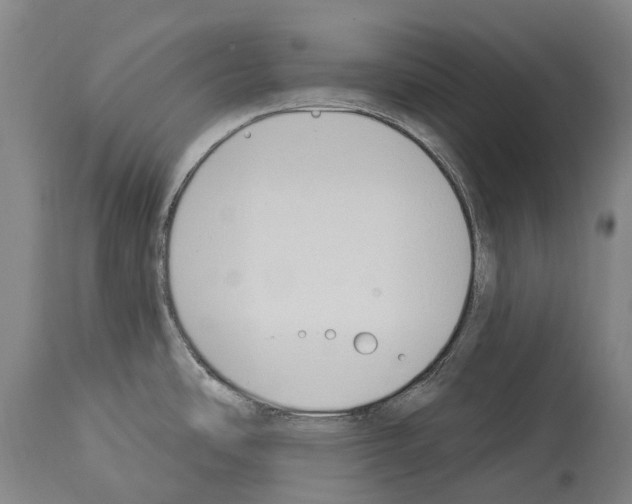 X0000114031486200911131238