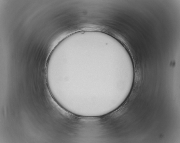 X0000114031487200911131238