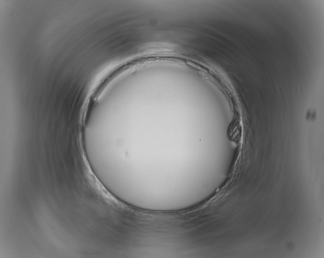 X0000114031488200911131238