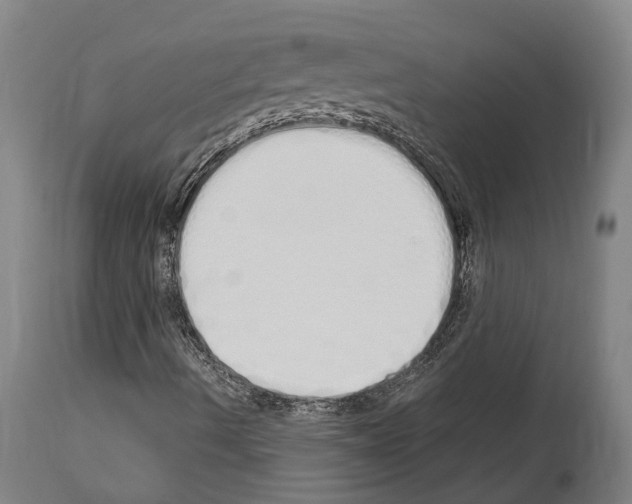 X0000114031490200911131237