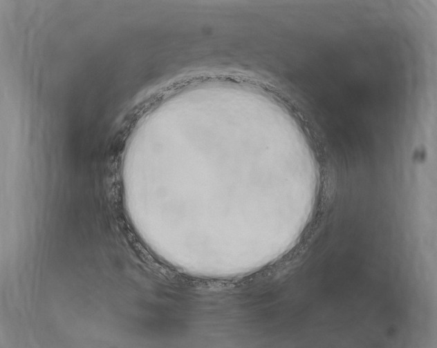 X0000114031494200911131237