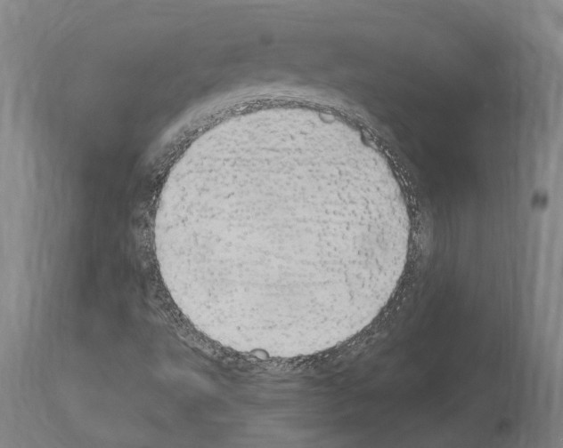 X0000114031495200911131237