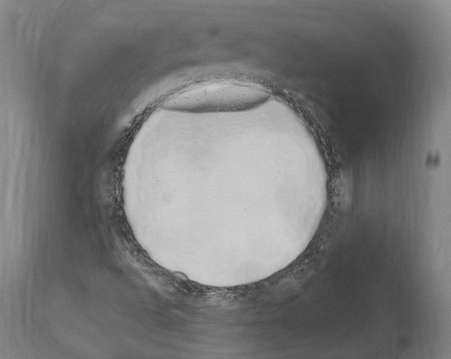 X0000114031496200911131237