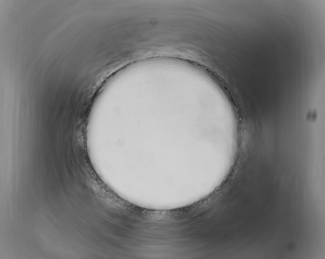 X0000114031497200911131237