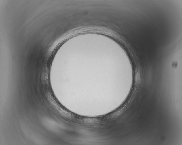 X0000114031498200911131237