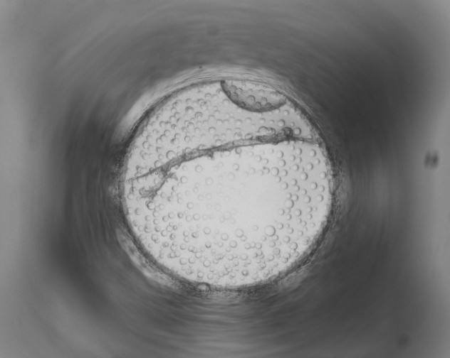 X0000114031499200911131237