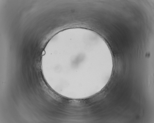 X0000114031500200911131237