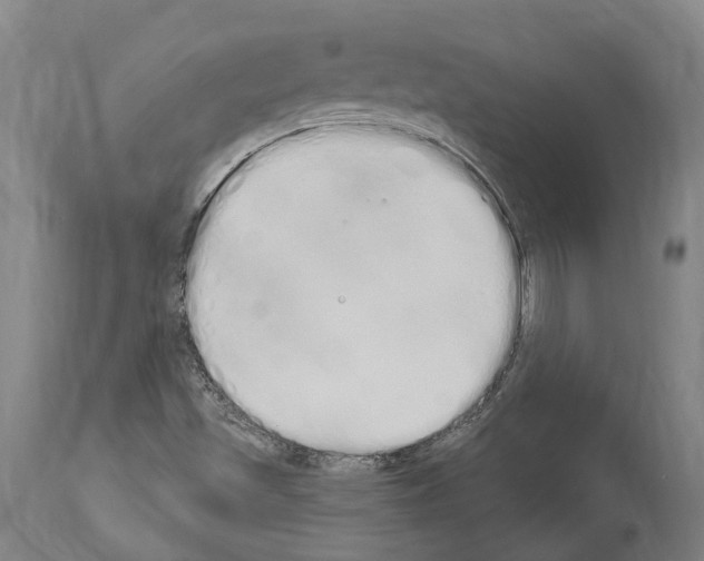 X0000114031501200911131237