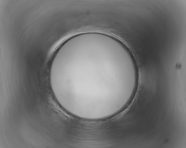 X0000114031502200911131237