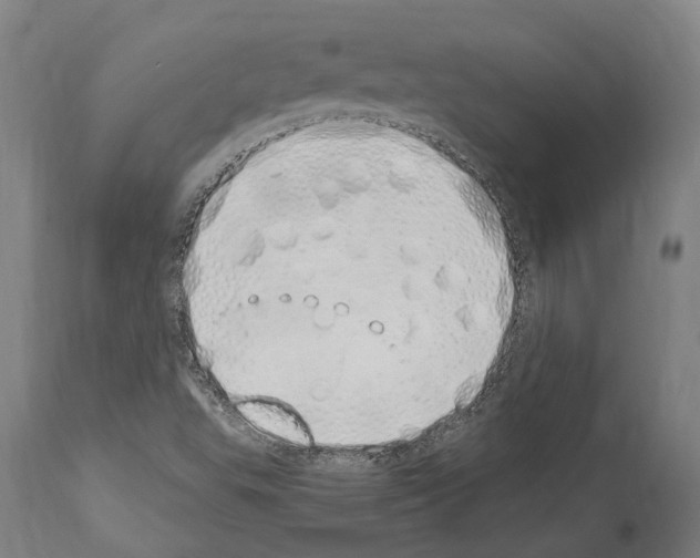 X0000114031503200911131237