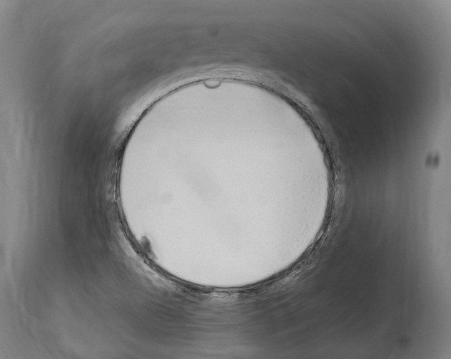 X0000114031504200911131237