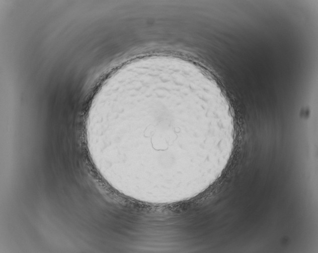 X0000114031507200911131237