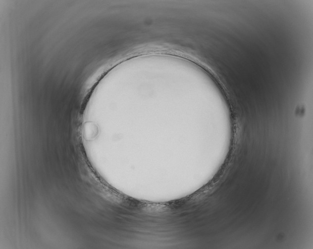 X0000114031509200911131237