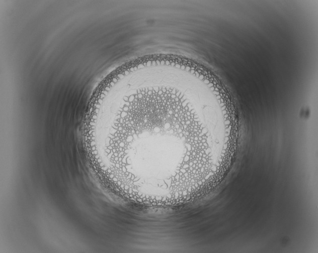 X0000114031513200911131238