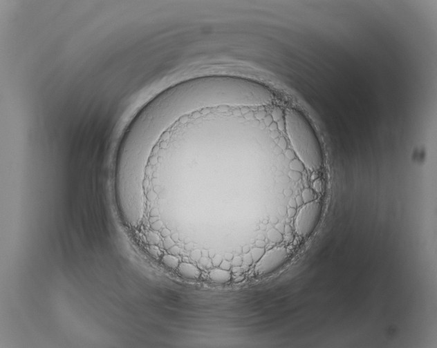 X0000114031514200911131238