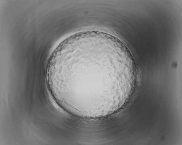 X0000114031515200911131238