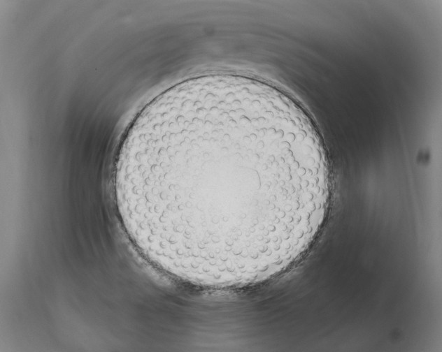 X0000114031517200911131238