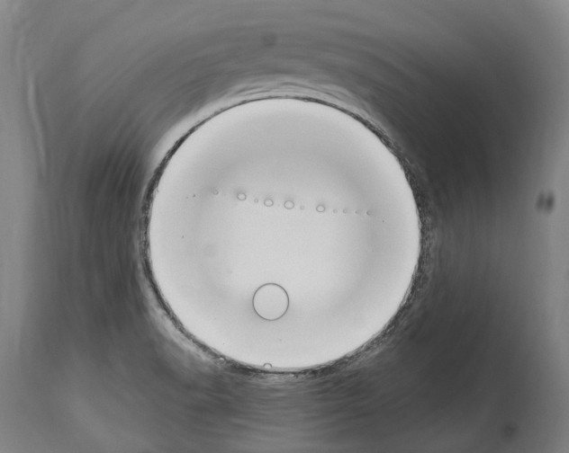 X0000114031518200911131238