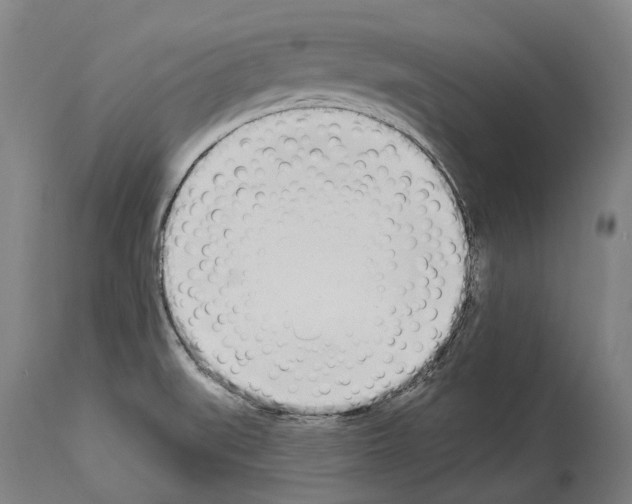 X0000114031519200911131238