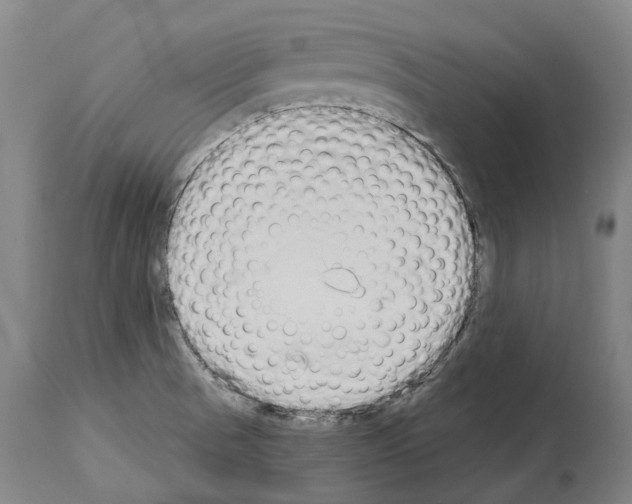 X0000114031521200911131238