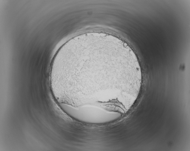 X0000114031522200911131238