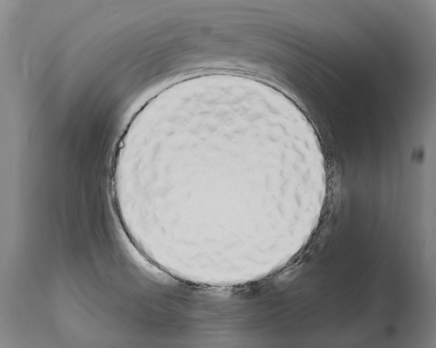 X0000114031523200911131238