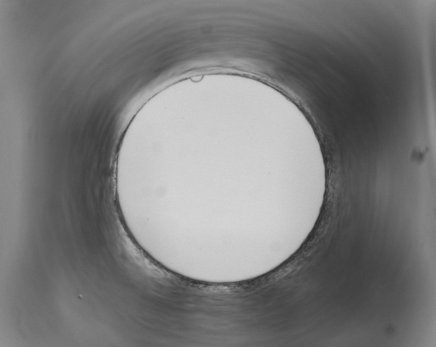 X0000114031524200911131238