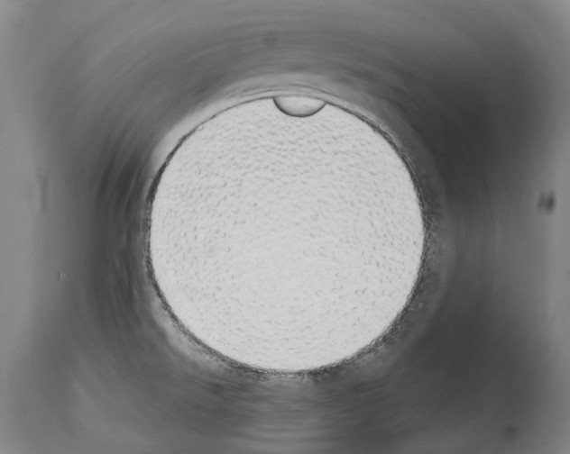 X0000114031526200911131238