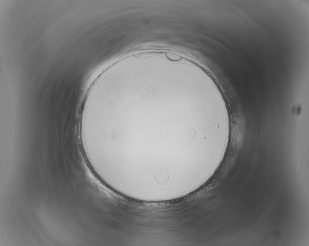 X0000114031527200911131238