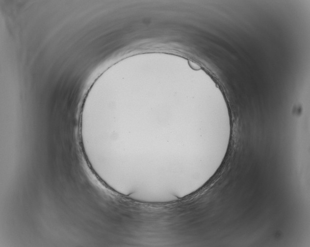 X0000114031528200911131238