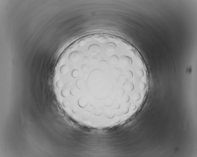 X0000114031529200911131238