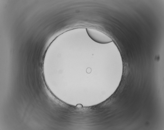 X0000114031531200911131238