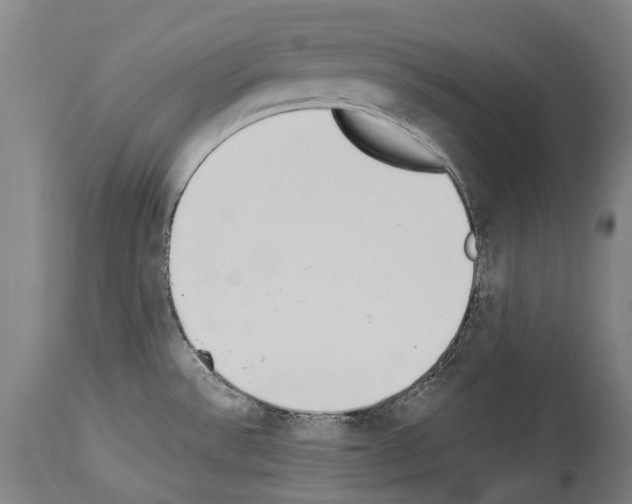 X0000114031532200911131238