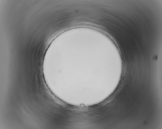 X0000114031533200911131238