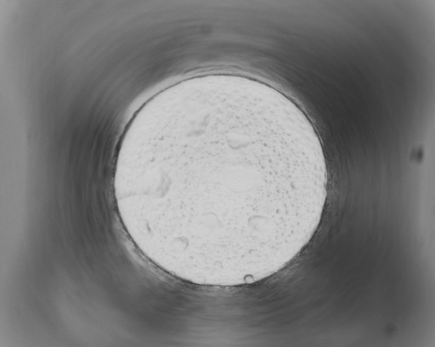 X0000114031534200911131238